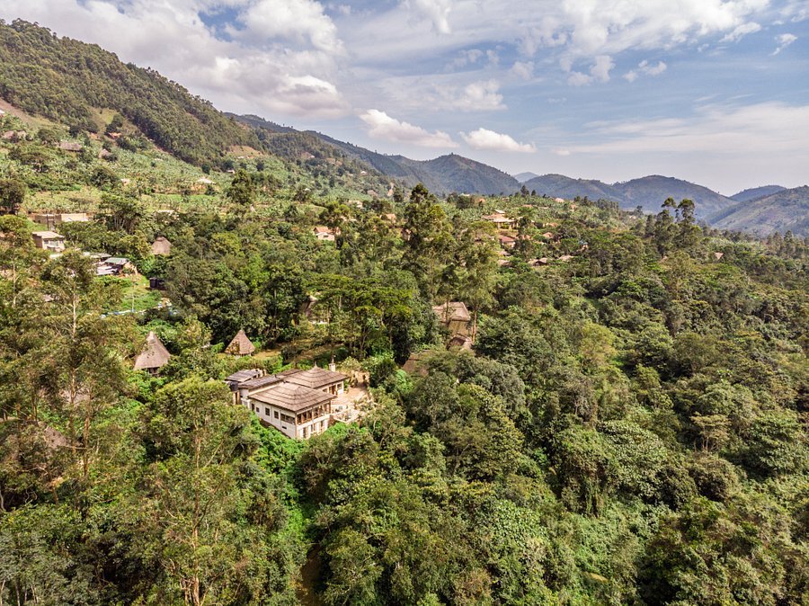 3-Day Bwindi Ultimate Mountain Gorilla Trekking Expedition Gallery 4